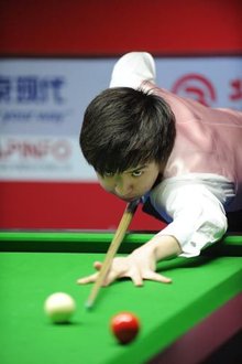 数的手段 数的手段